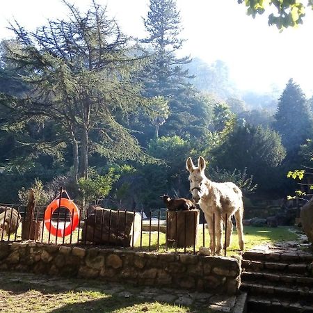 Quinta Do Castanheiro Hotel Sintra Luaran gambar