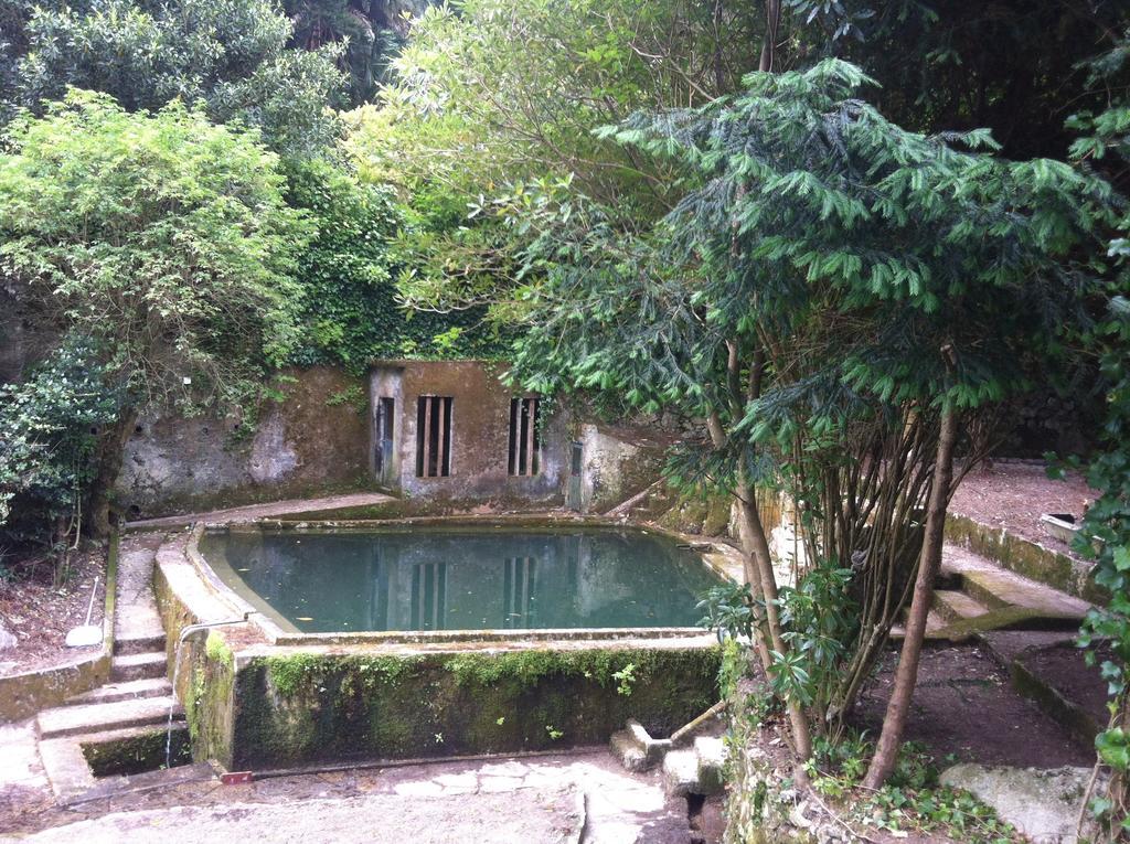 Quinta Do Castanheiro Hotel Sintra Luaran gambar