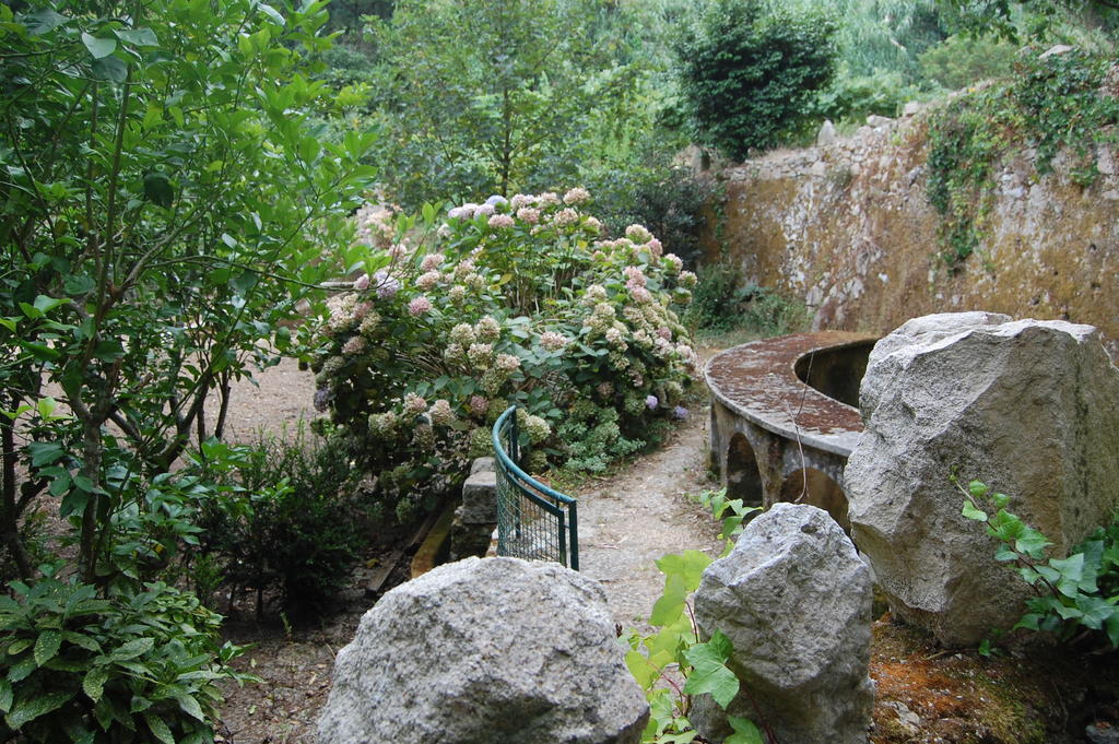 Quinta Do Castanheiro Hotel Sintra Luaran gambar
