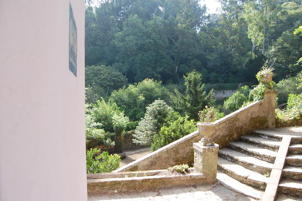 Quinta Do Castanheiro Hotel Sintra Luaran gambar