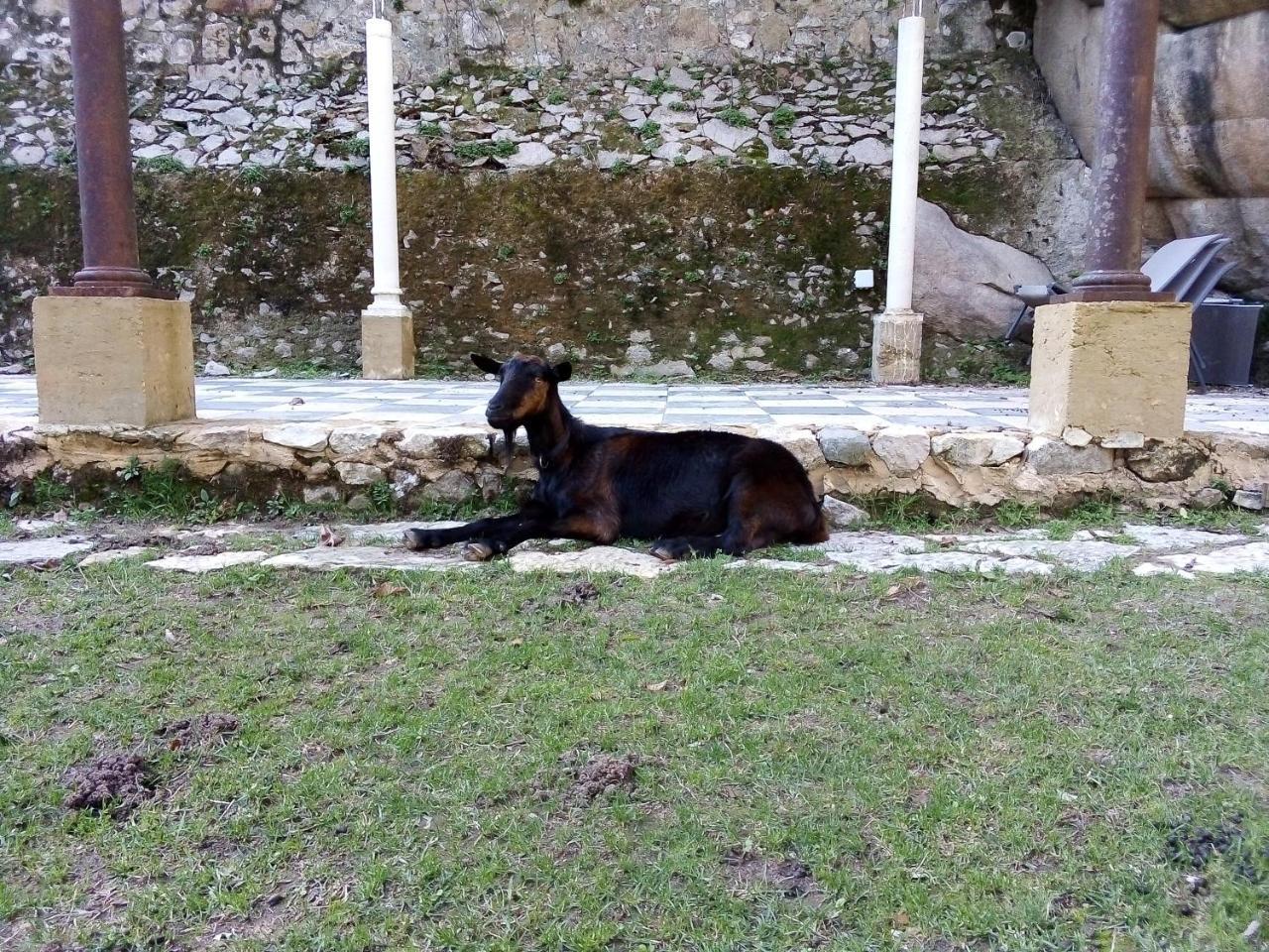 Quinta Do Castanheiro Hotel Sintra Luaran gambar